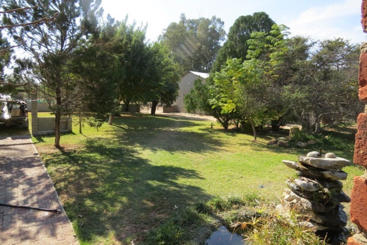 Egg - cellent Investment Opportunity! - Photo 2