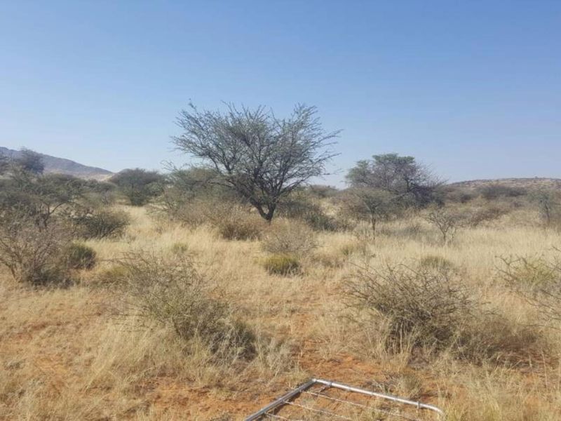 Smallholding South of Windhoek - Photo 10