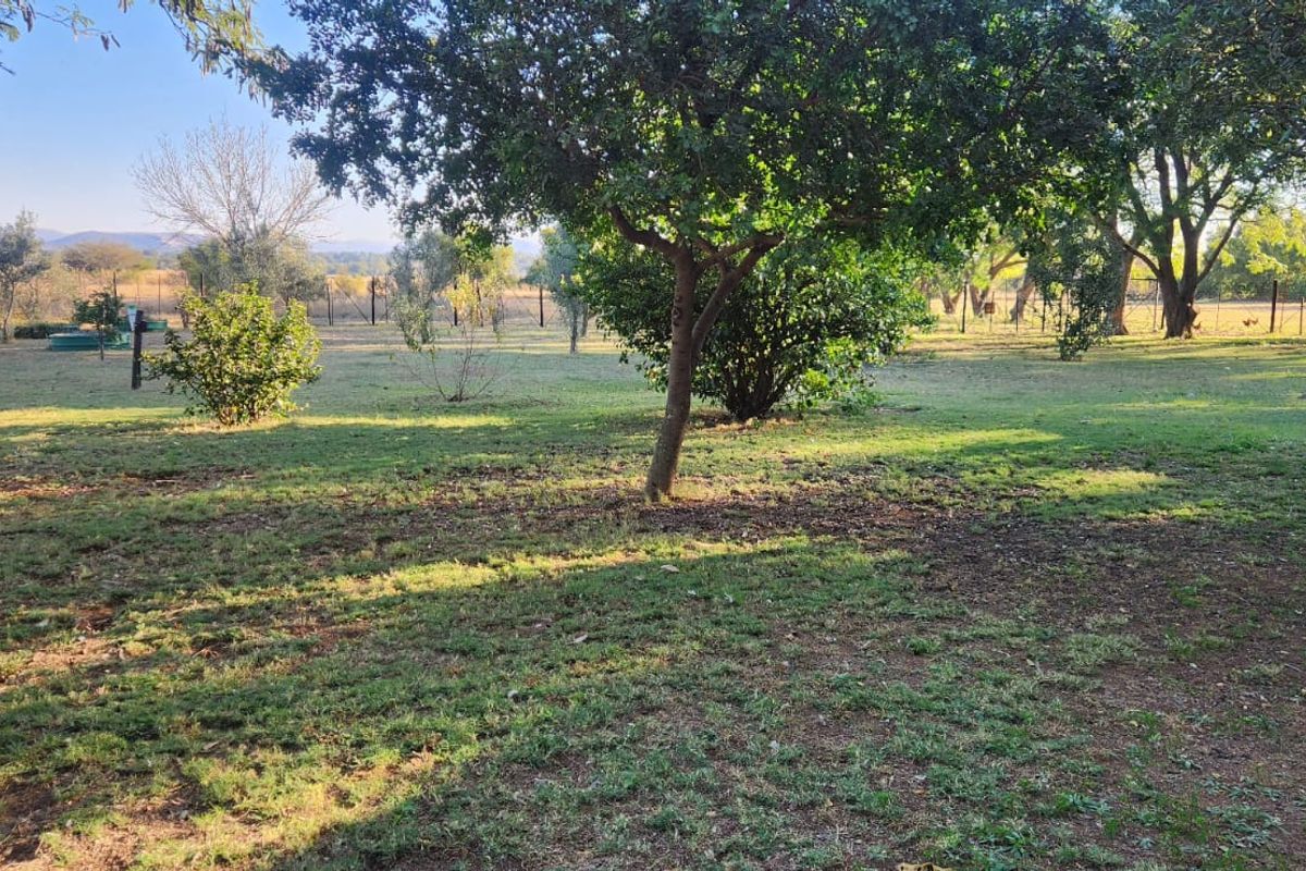 9.5 Hectares Farm for Sale - Do not miss this amazing opportunity it will not be around for long. - Photo 2