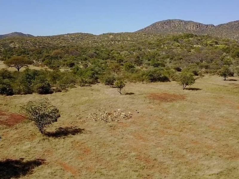 Game/Stock farm for sale Otavi Namibia - Photo 9
