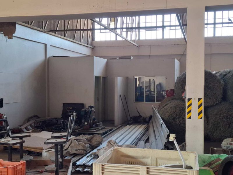 LARGE INDUSTRIAL PROPERTY WITH ENOUGH SQUARE METRES UNDER ROOF - Photo 9