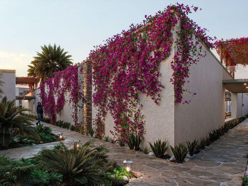 For sale -  Invest Smart: Oasis Swakopmund - Photo 2