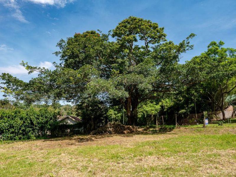 Your Dream Starts Here. Build in Beautiful Crestholme - Photo 7