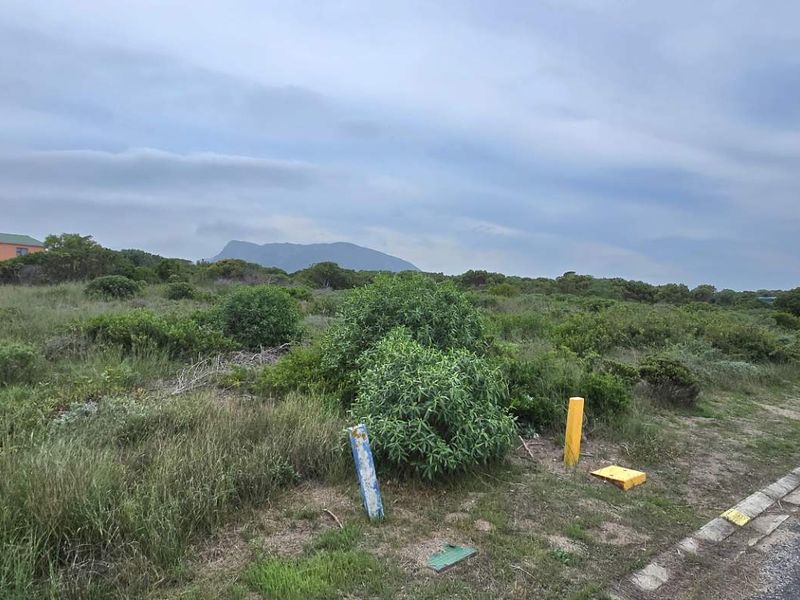 Elevated Stand with Excellent Investment Potential - Photo 4