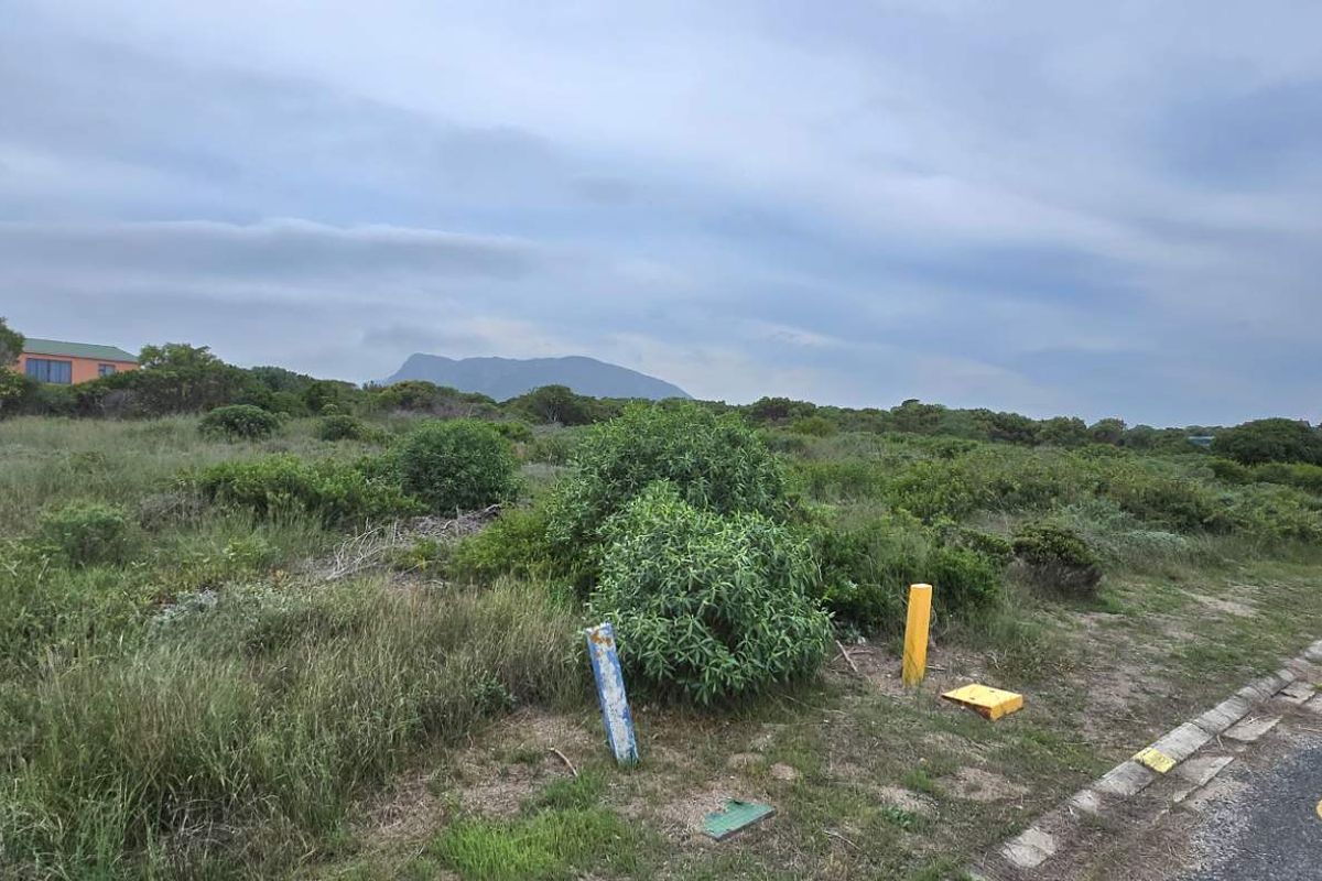 Elevated Stand with Excellent Investment Potential - Photo 4