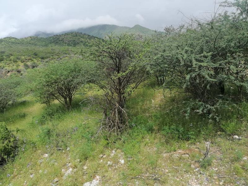 10 HECTARES PLOT FOR SALE - BETWEEN WINDHOEK AND REHOBOTH - Photo 2