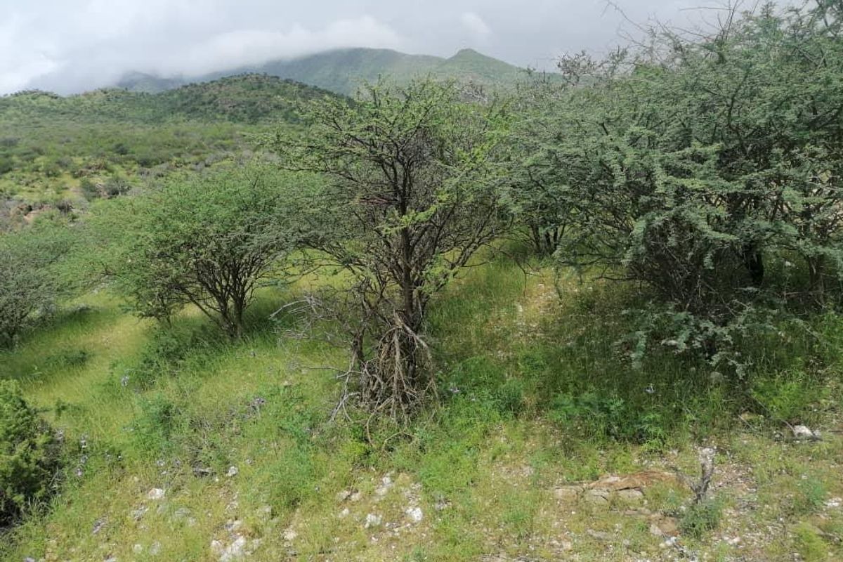 10 HECTARES PLOT FOR SALE - BETWEEN WINDHOEK AND REHOBOTH - Photo 2