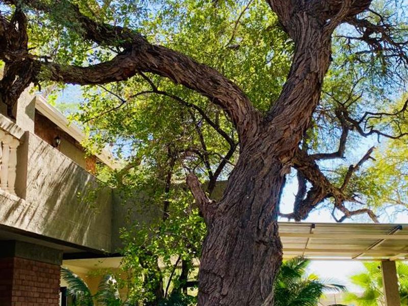 🌟 Your Dream Home Awaits at Okakango River Estate! 🌟 - Photo 5