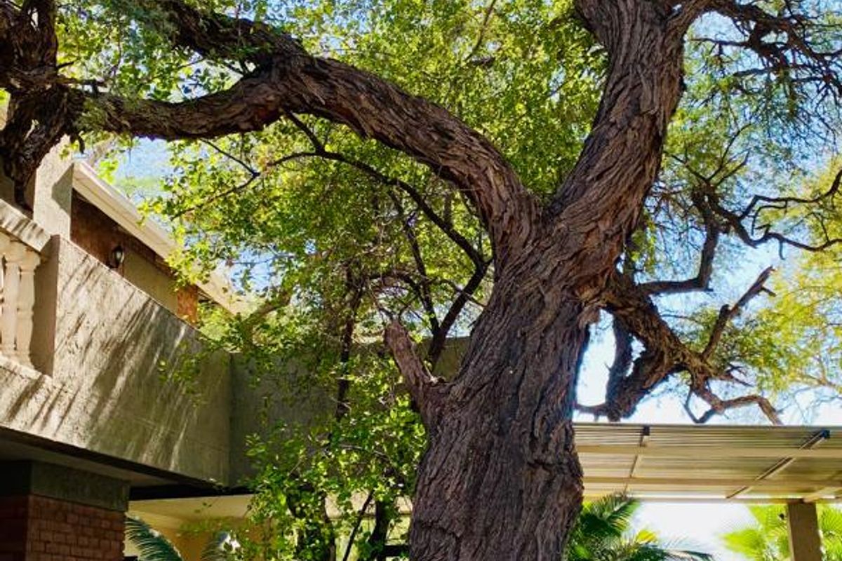 🌟 Your Dream Home Awaits at Okakango River Estate! 🌟 - Photo 5