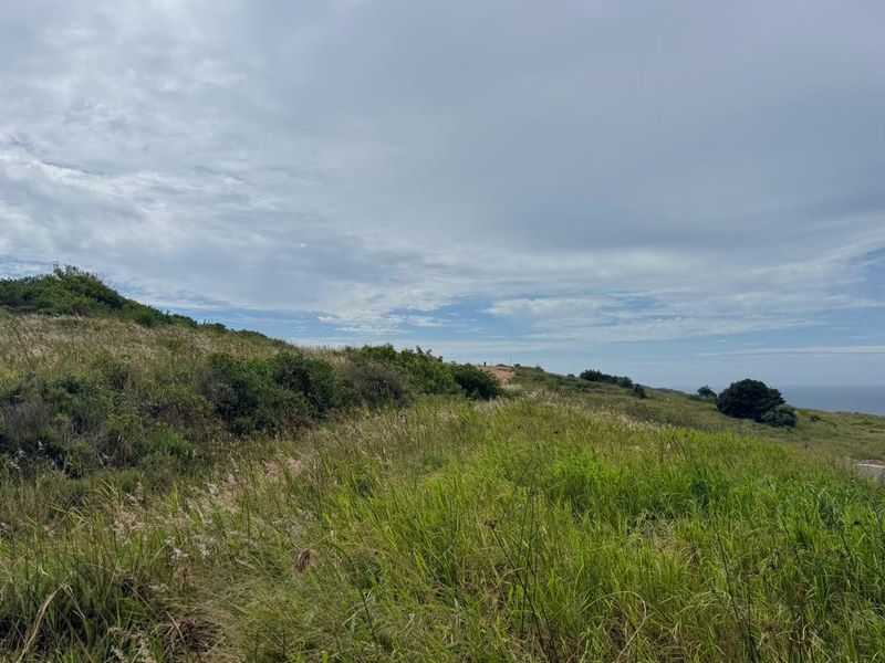Seaton Magic with Seaviews - Photo 8