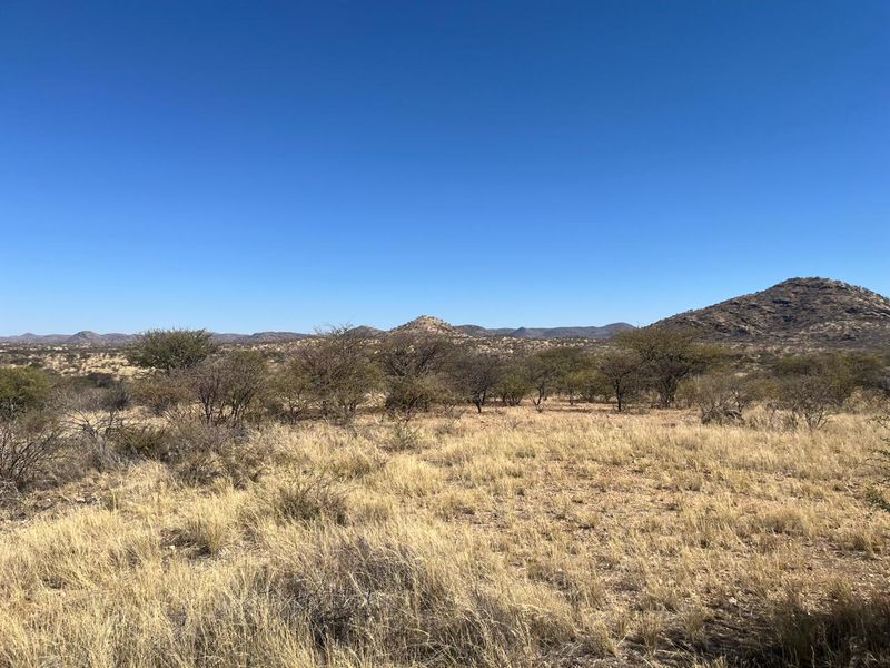 A scenic view of the natural landscape featuring indigenous vegetation and rolling hills under a clear blue sky.