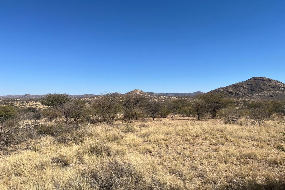 A scenic view of the natural landscape featuring indigenous vegetation and rolling hills under a clear blue sky.