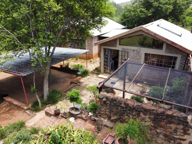 Income-Generating Smallholding with Water Security and Development Potential - Photo 4