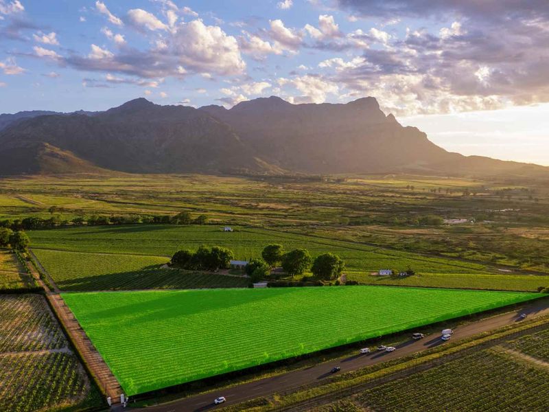 Aerial view of expansive agricultural land and vineyards with mountain backdrop and direct road access.