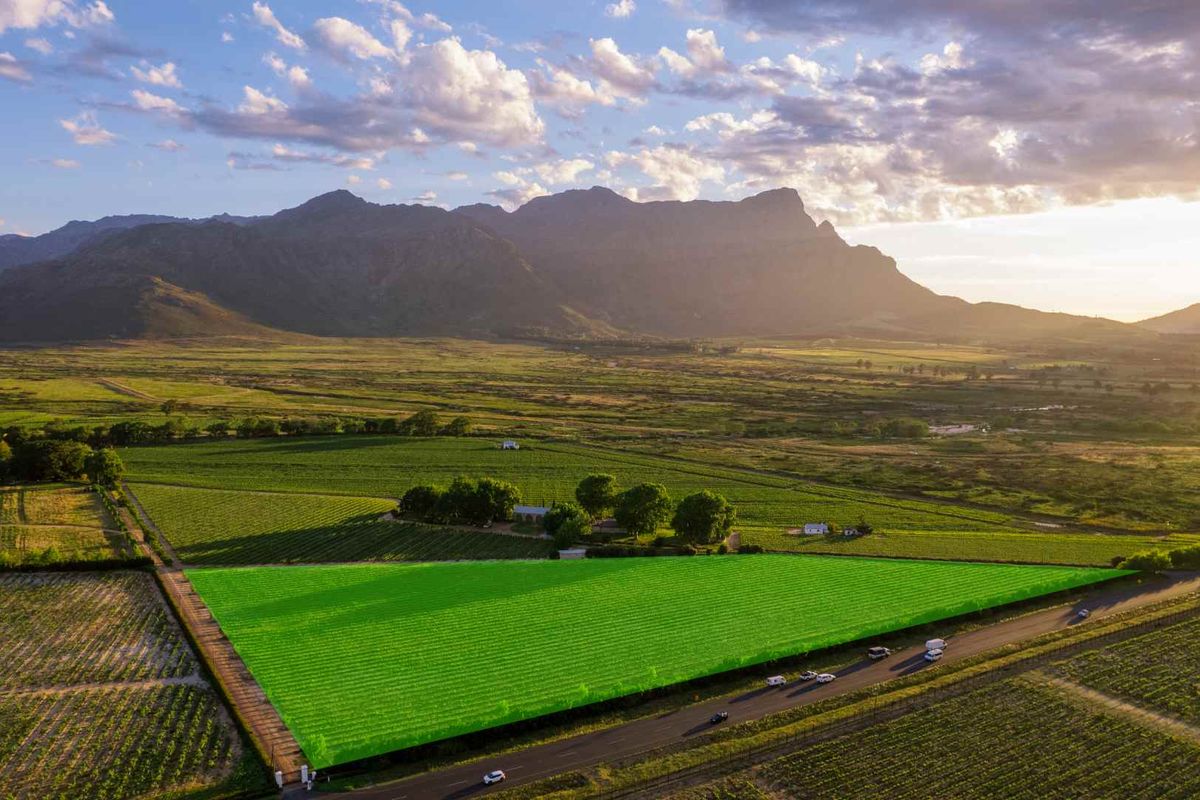 Aerial view of expansive agricultural land and vineyards with mountain backdrop and direct road access.