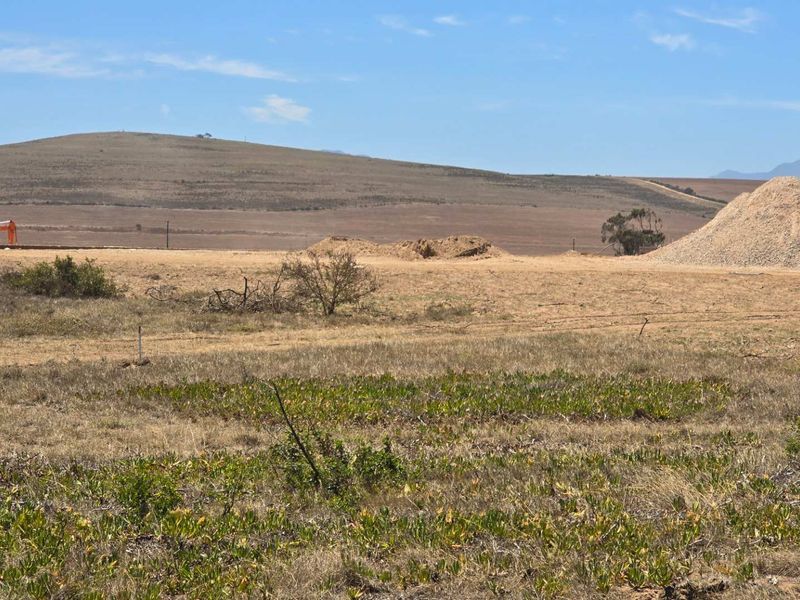 Exclusive Opportunity: Buy Directly from the Developer at Hartland Lifestyle Estate - Photo 2