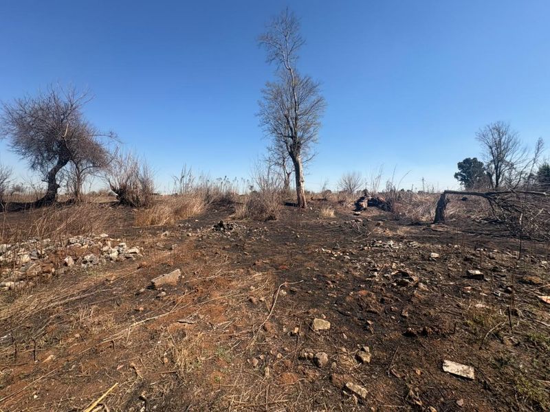 A view of a vacant residential plot featuring scorched earth and fire-damaged vegetation, indicating recent fire activity on the land.