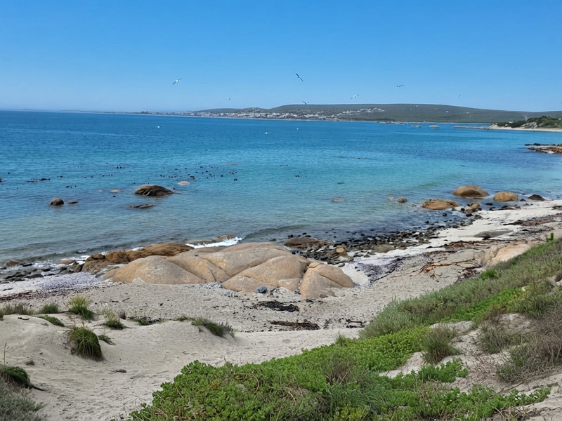 Rare Beachfront Stand in Shelley Point – Build Your Dream Home on the Ocean's Edge - Photo 2
