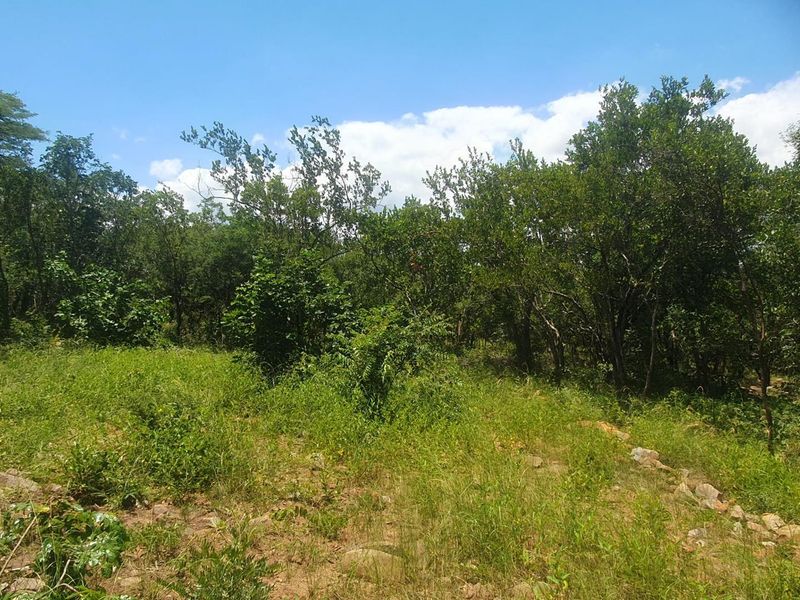 Nature Lovers Piece of Paradise!! - Photo 5