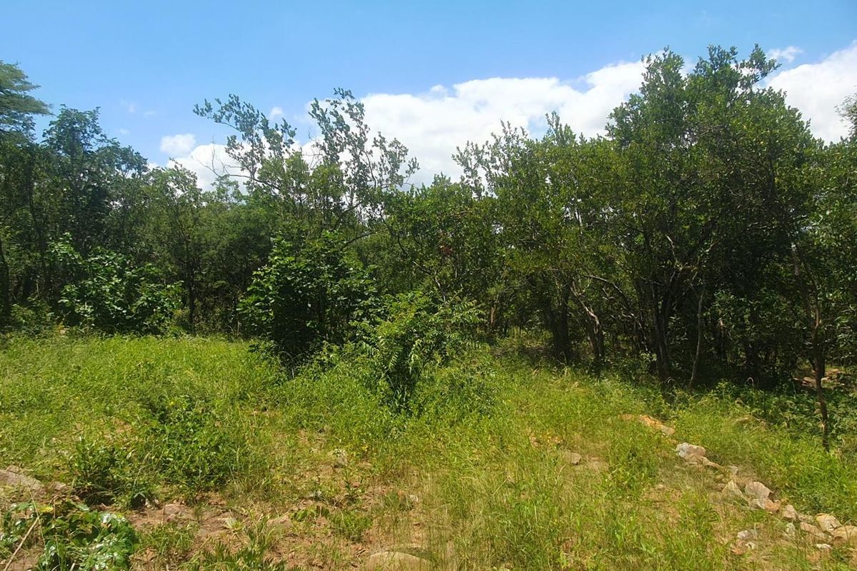 Nature Lovers Piece of Paradise!! - Photo 5