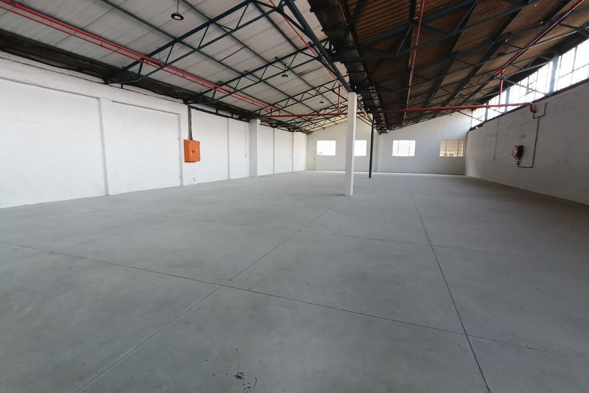 Spacious industrial warehouse unit featuring high ceilings with exposed steel trusses, concrete flooring, and integrated fire safety systems.