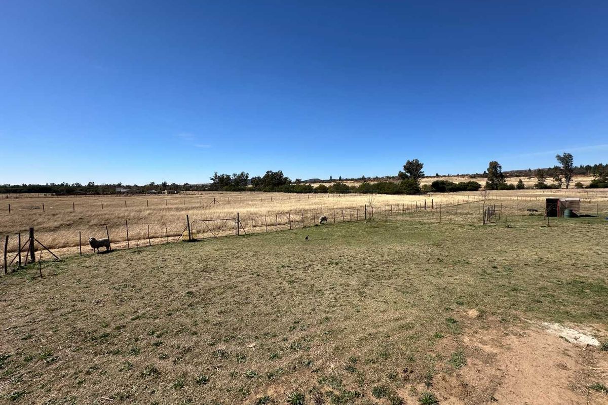 3 BEDROOM HOUSE ON  2HA PLOT FOR SALE - Photo 2