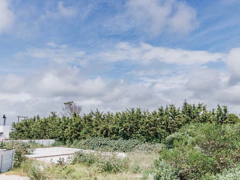 Build Your Dream Home or Investment Opportunity! - Photo 7