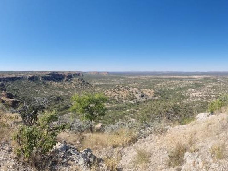 Escape to nature with this incredible 2500Ha farm — the perfect investment for a lodge. - Photo 7