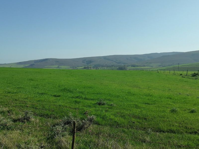 Getting back to Basics - Photo 3