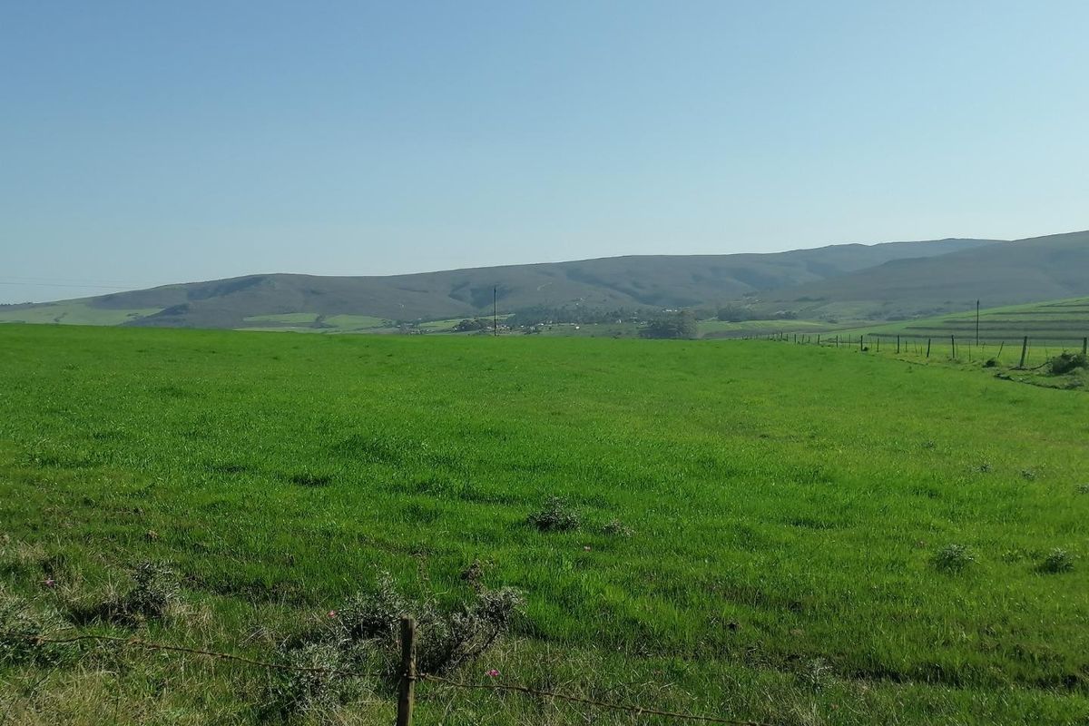 Getting back to Basics - Photo 3