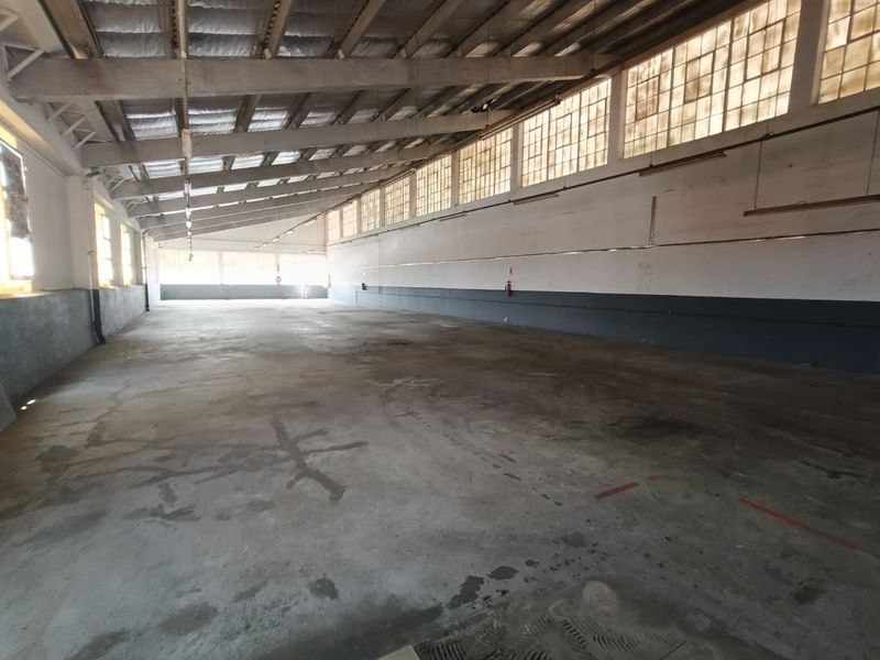 WAREHOUSE TO LET – IVY PARK, PINETOWN 617m2 | SUPERLINK ACCESS - Photo 4