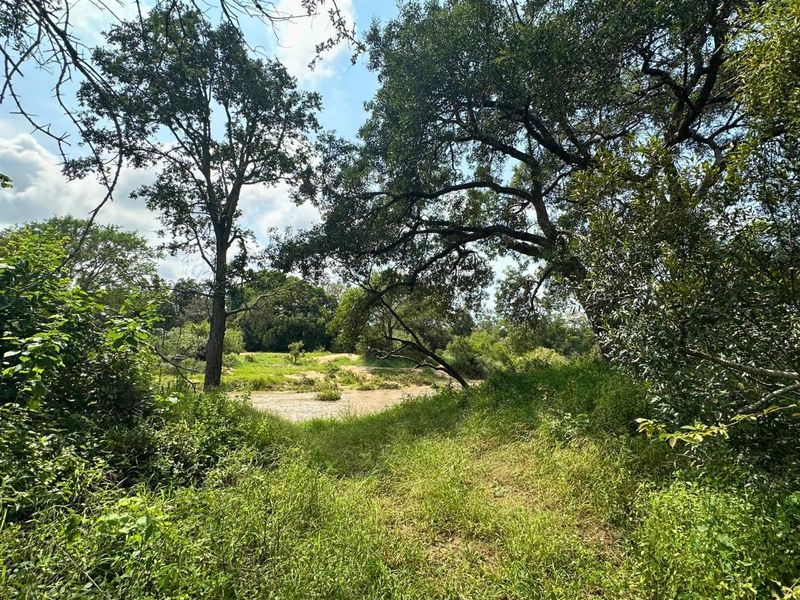 12,000 m2 Riverfront Stand in Moditlo Wildlife Estate - Photo 3