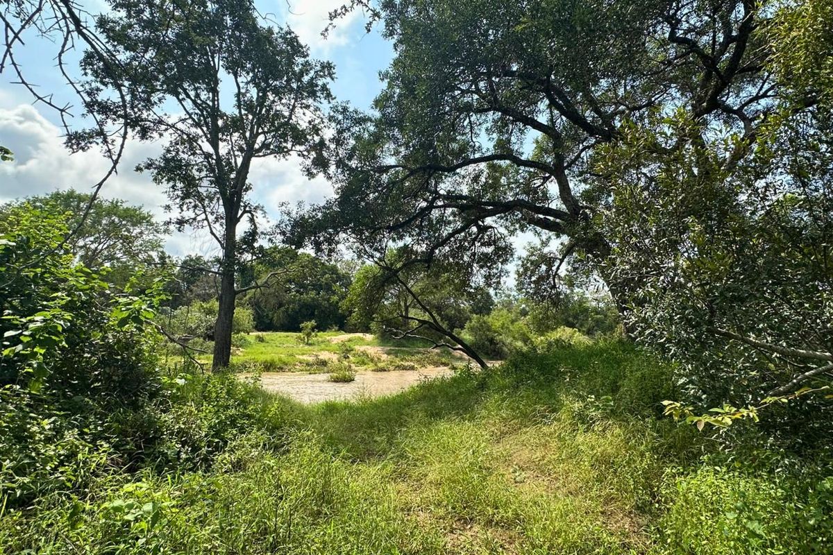 12,000 m2 Riverfront Stand in Moditlo Wildlife Estate - Photo 3