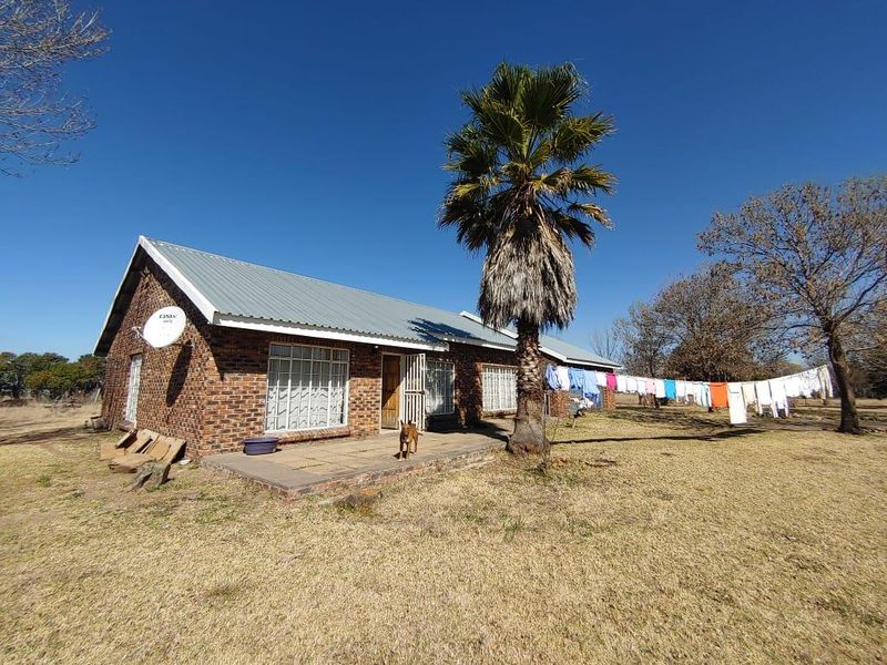 Rear view of a face brick small holding dwelling featuring a corrugated metal roof and a paved patio area set within a large garden.
