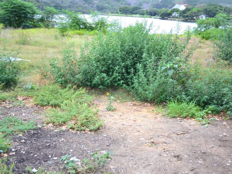 Vacant stand for Sale On The Island Grootbrak Rivier - Photo 7