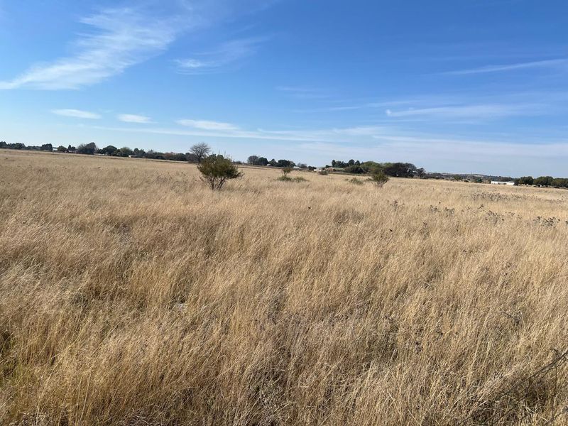 A wide-angle view of a vacant residential plot featuring dry, natural grassland under a clear blue sky.
