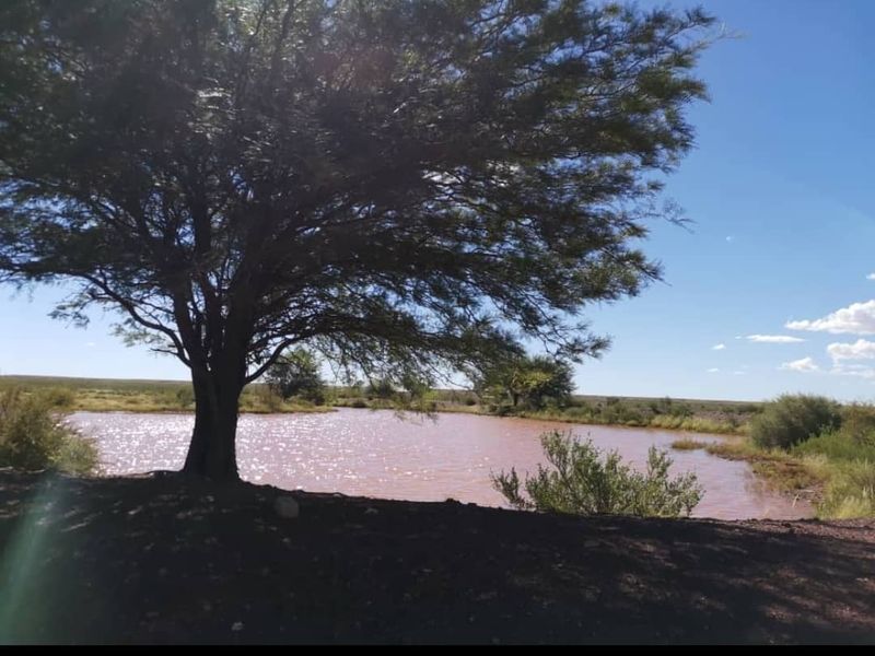 Farm close to Aroab - Photo 10