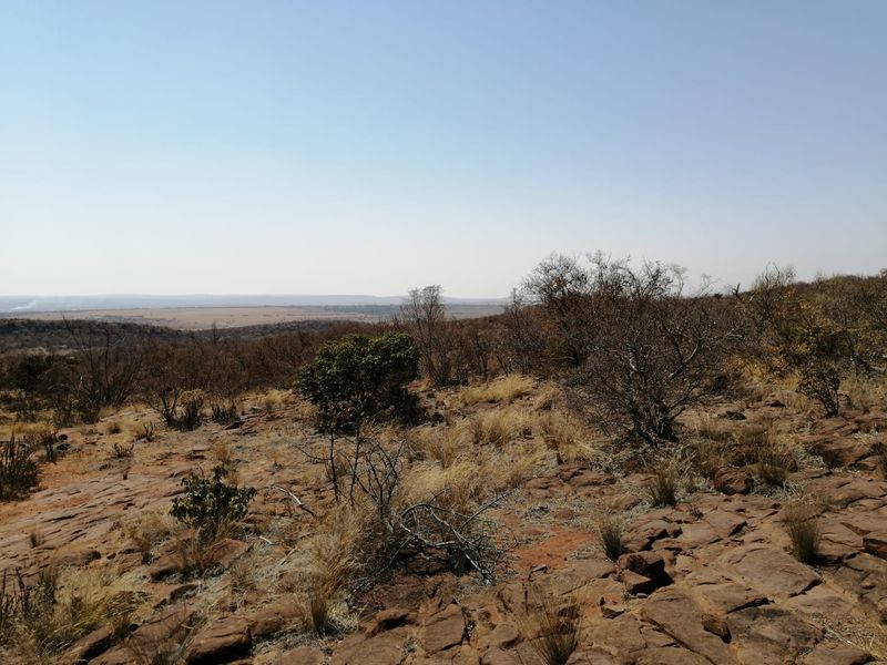 Build your dream retirement in the bushveld - Photo 10