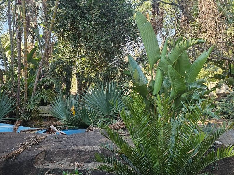 Spacious house in Elandsrand - Photo 10