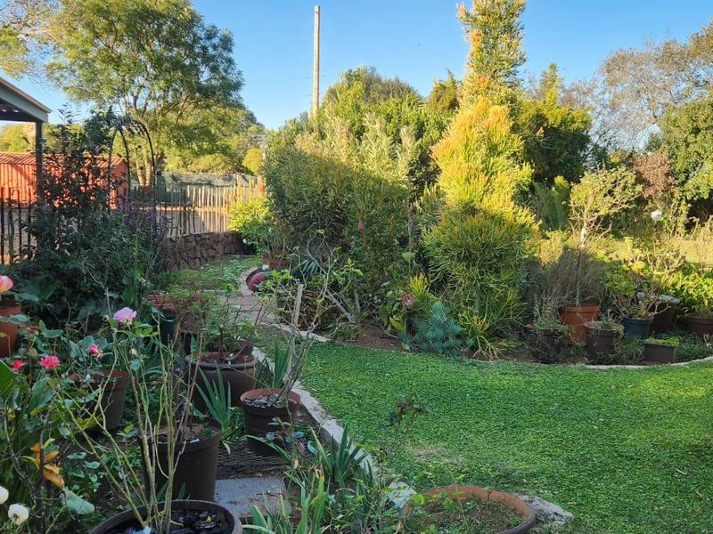 9.5 Hectares Farm for Sale - Do not miss this amazing opportunity it will not be around for long. - Photo 9