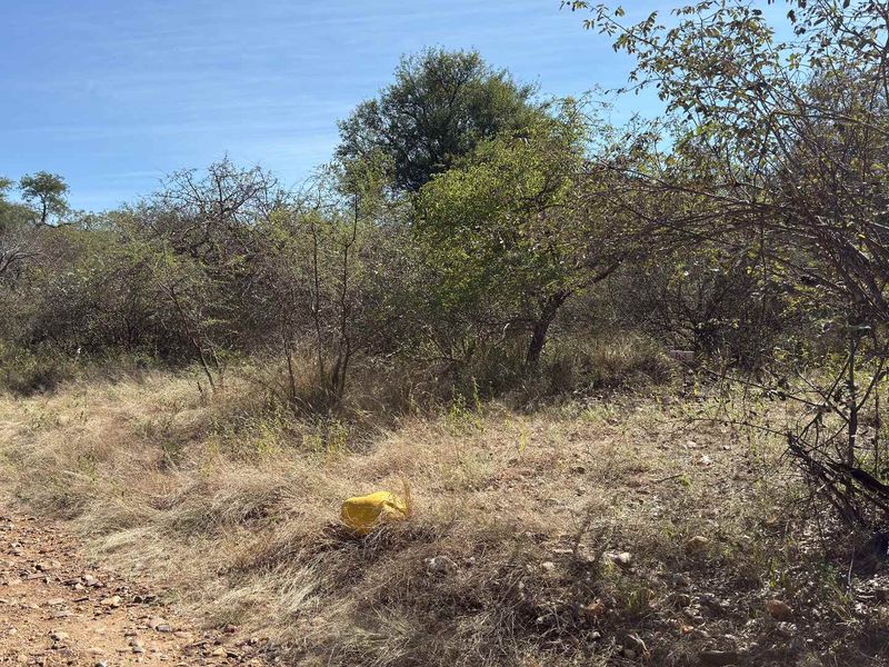 Beautiful Bushveld Views in Elephant Rock Eco Estate - Photo 10