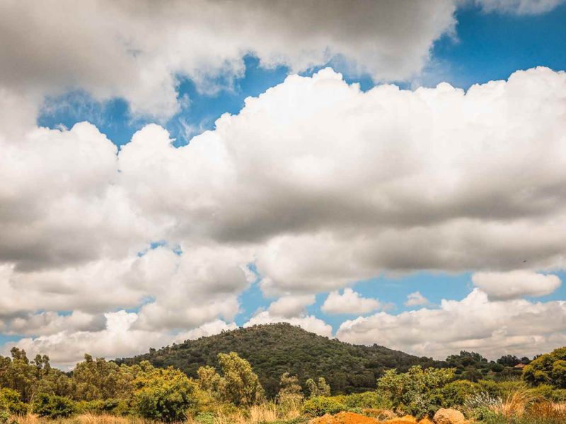 A Modern Oasis of Peace, Play, and Possibility - Photo 3