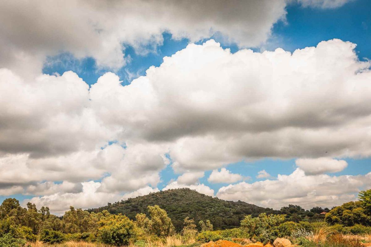 A Modern Oasis of Peace, Play, and Possibility - Photo 3