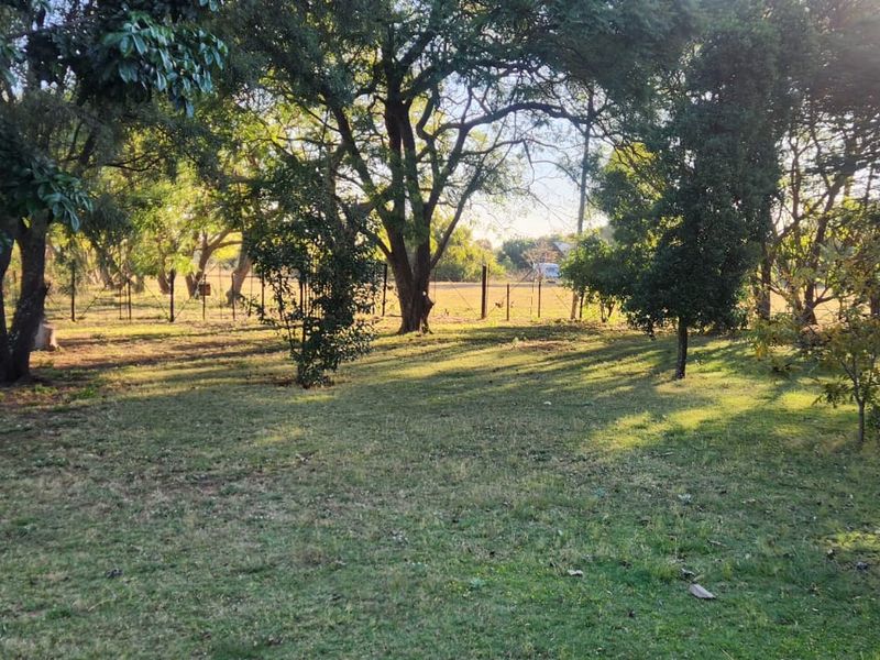 9.5 Hectares Farm for Sale - Do not miss this amazing opportunity it will not be around for long. - Photo 7