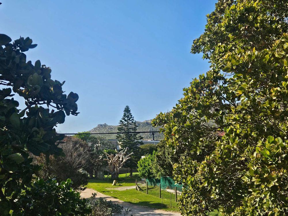 View from deck