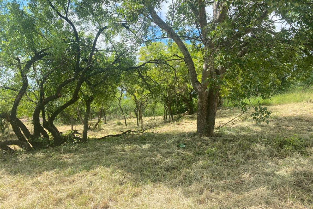 Simply outstanding opportunity! - Photo 2