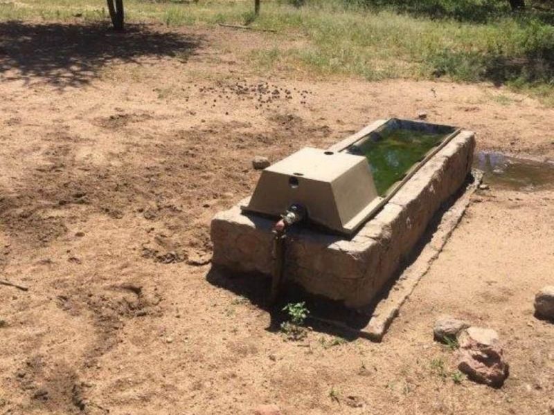 Smallholding 94 Ha at Ozombanda Wildlife Estate - Photo 6