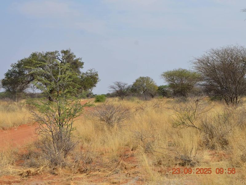A view of the vacant agricultural land featuring native trees, dry grass, and a dirt access track.