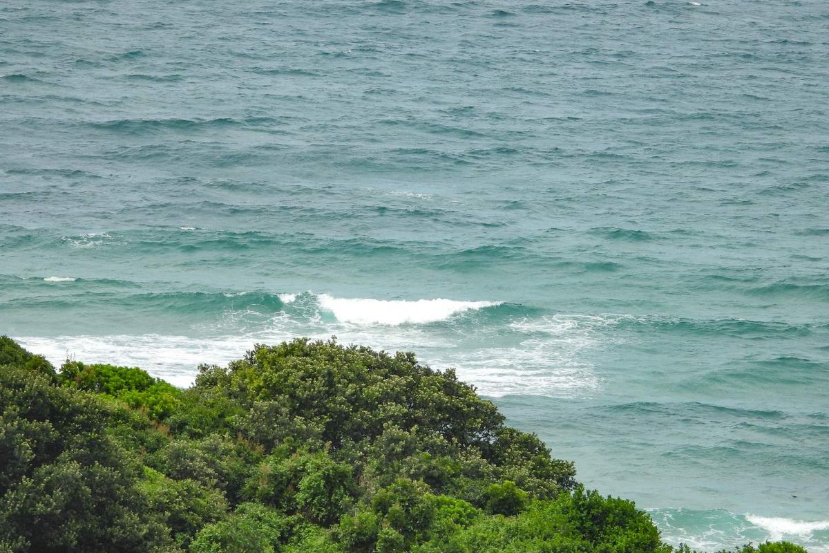 Seaton Charming Empty Stand - Photo 4