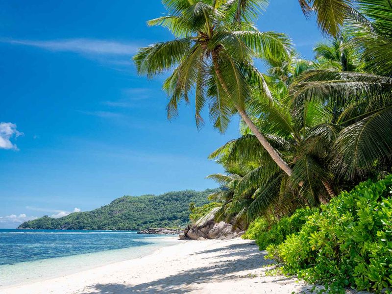 LARGE SCALE TOURISM DEVELOPMENT OPPORTUNITY PRASLIN - Photo 3